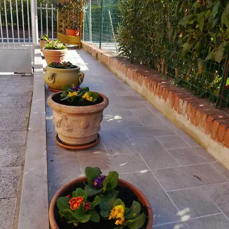 Apartment Casa Alfredo